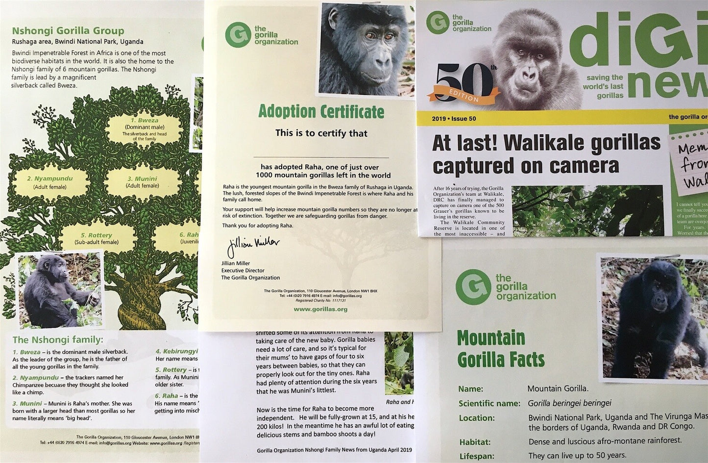 E-Adopt a Gorilla