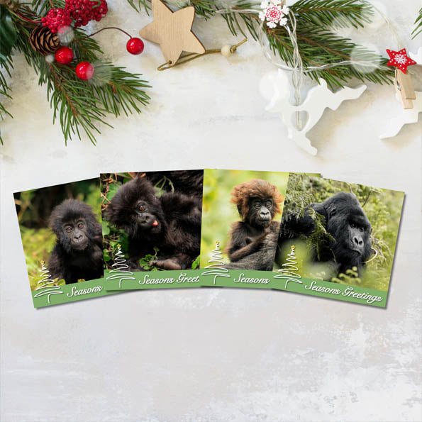 Gorilla Organization Christmas Cards – Pack of 8