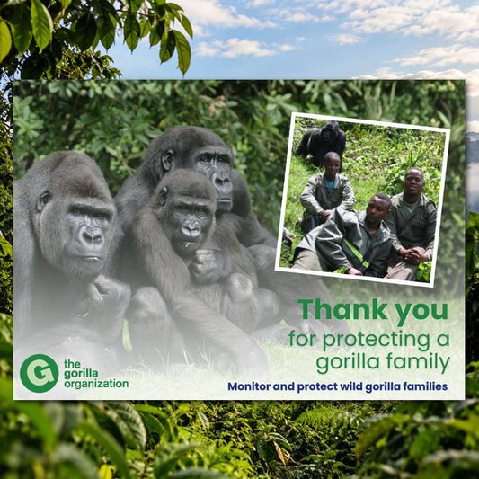 Protect a Gorilla Family