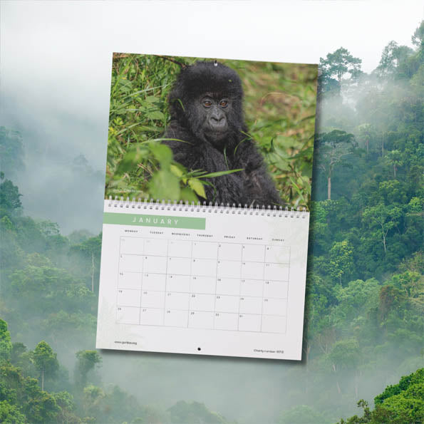 2026 Gorilla Organization Calendar