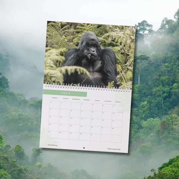 2026 Gorilla Organization Calendar