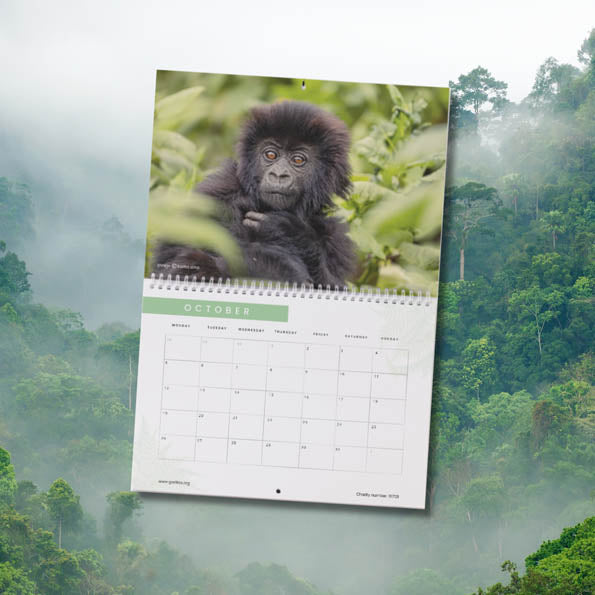 2026 Gorilla Organization Calendar