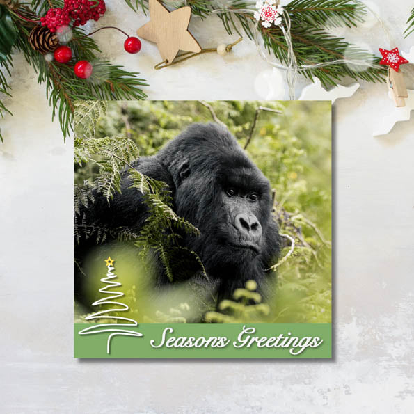 Gorilla Organization Christmas Cards – Pack of 8