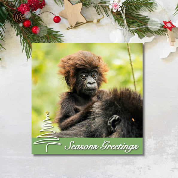 Gorilla Organization Christmas Cards – Pack of 8