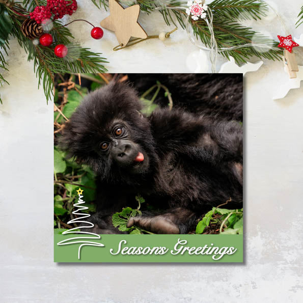 Gorilla Organization Christmas Cards – Pack of 8