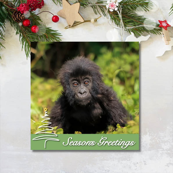 Gorilla Organization Christmas Cards – Pack of 8