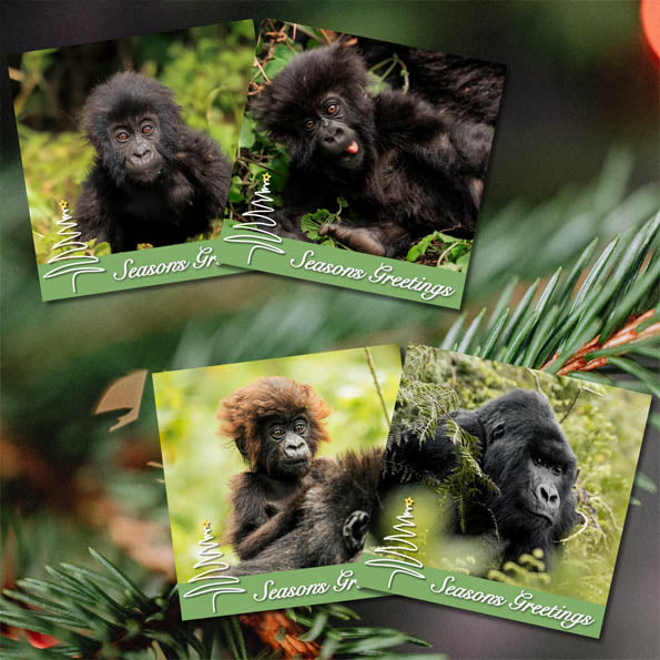 Gorilla Organization Christmas Cards – Pack of 8