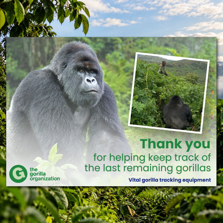 Buy Gorilla Tracking Equipment