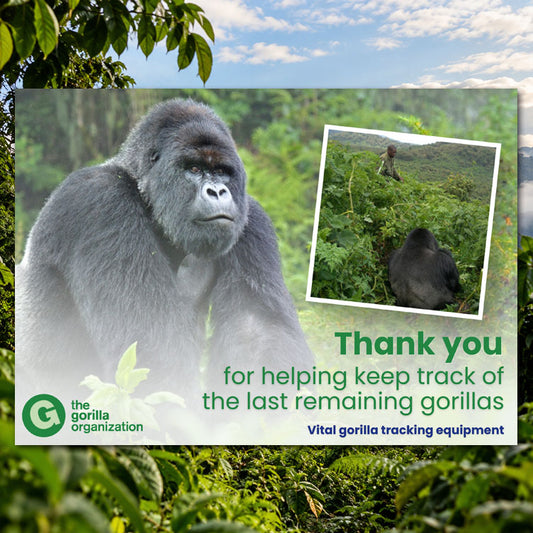 Buy Gorilla Tracking Equipment